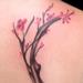 Tattoos - Water color cherry blossom  - 72666